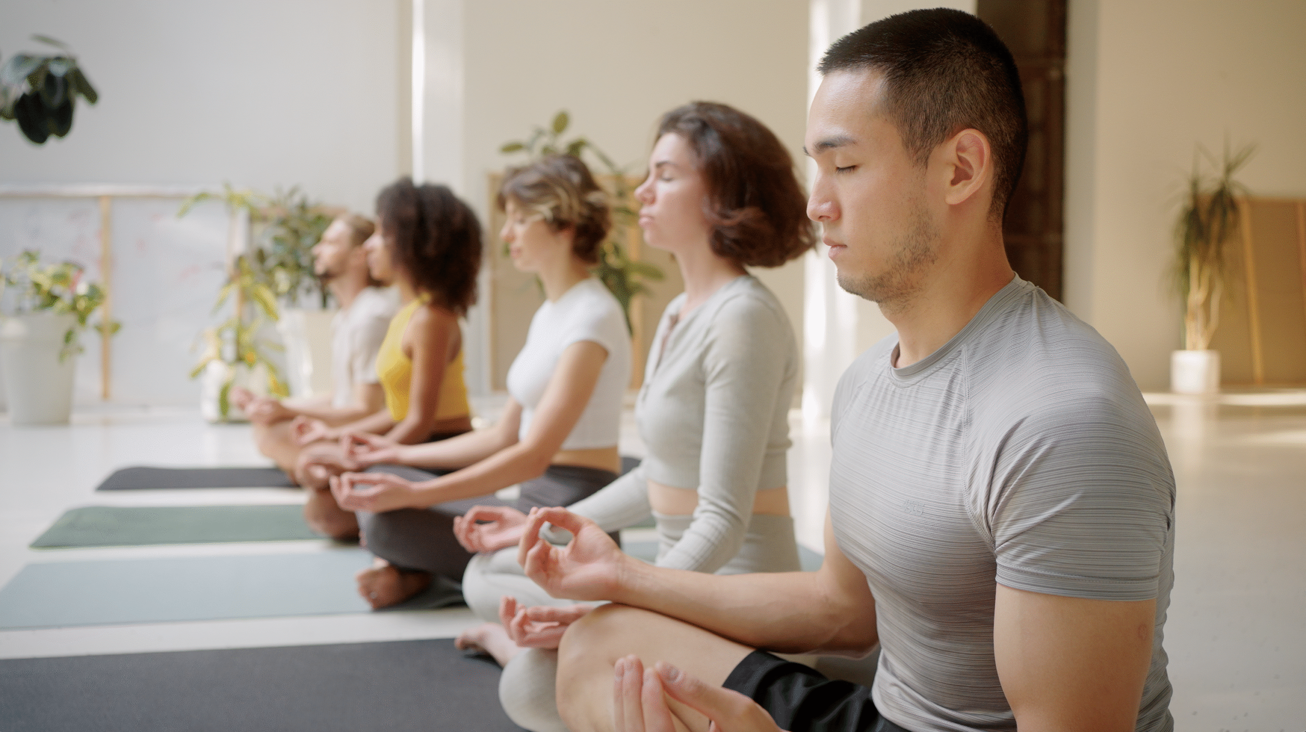 QiActivate group cover